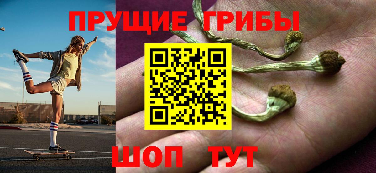 Псилоцибиновые грибы MAGIC MUSHROOMS Реж